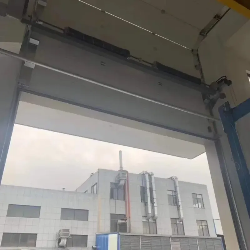 Large Garage Door 
